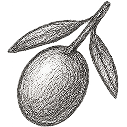 Olive da tavola