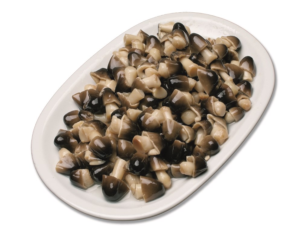 funghi di muschio