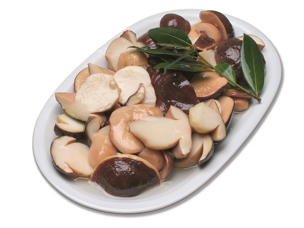 funghi porcini