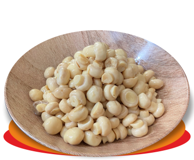 FUNGHI CHAMPIGNONS
