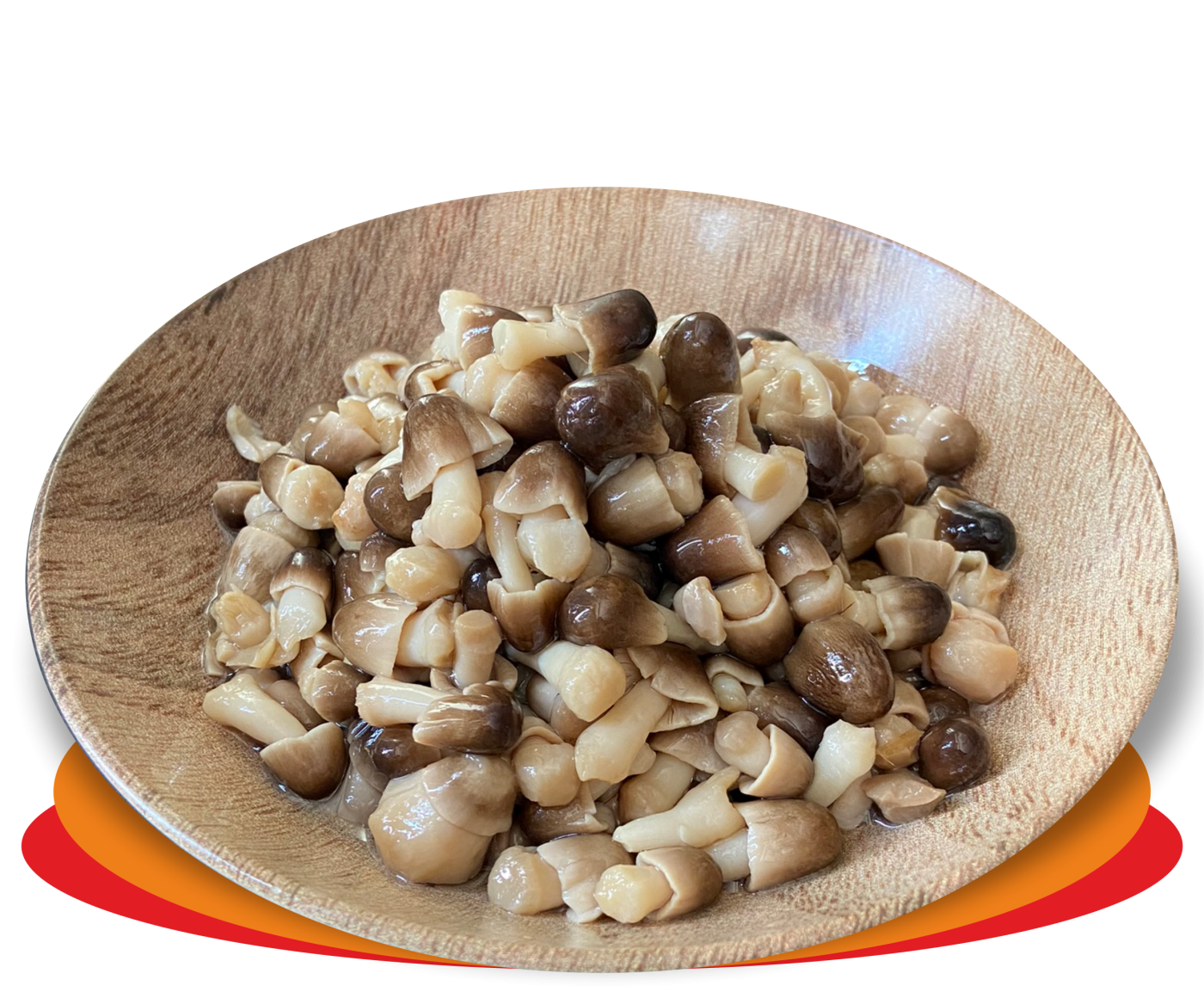 FUNGHI DI MUSCHIO