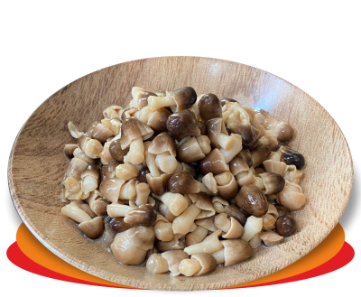 FUNGHI DI MUSCHIO