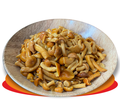FUNGHI NAMEKO